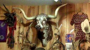 Kings - Longhorn